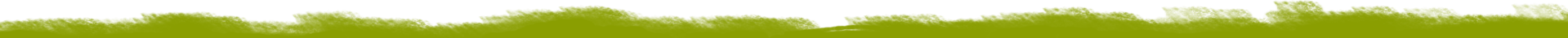 brman-green-decor-top